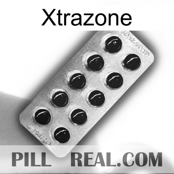 Xtrazone new09.jpg